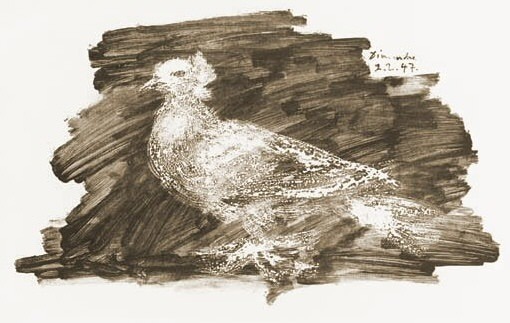 1947 Pigeon sur fond gris. Пабло Пикассо (1881-1973) Период: 1943-1961