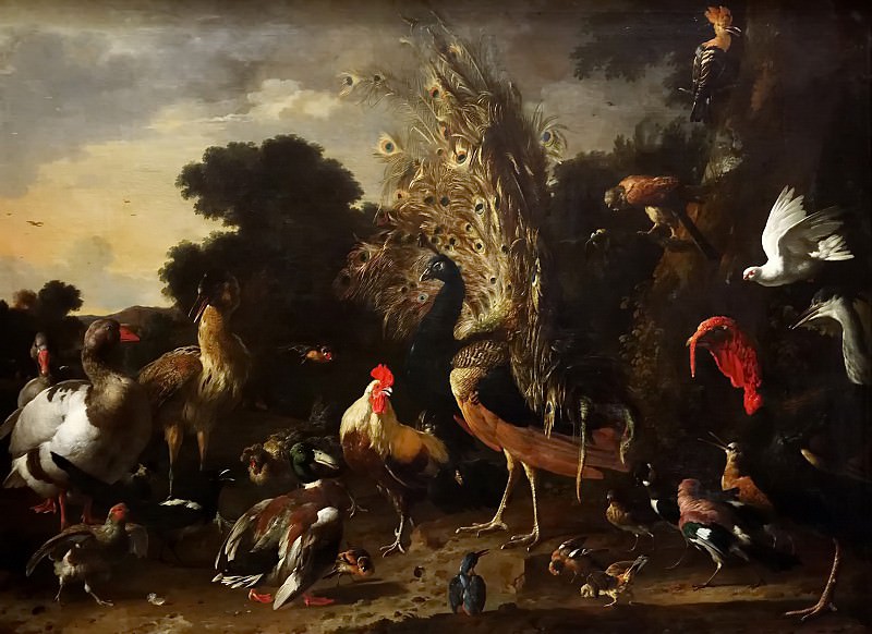 Melchior de Hondecoeter -- The poultry yard with rooster, peacock and turkey. Kunsthistorisches Museum