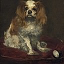 A King Charles Spaniel, Édouard Manet
