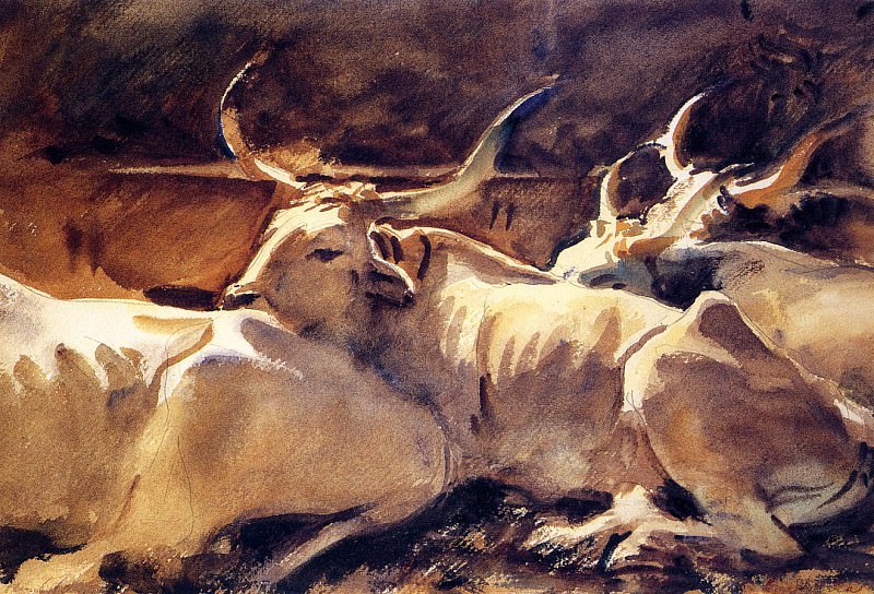 Oxen in Repose. John Singer Sargent
