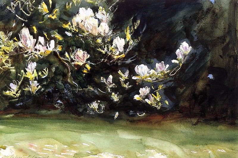 Magnolias. John Singer Sargent