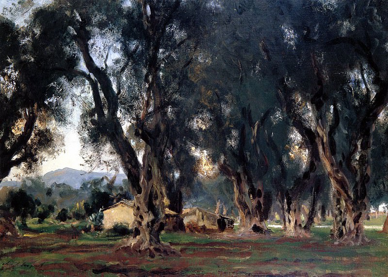 Olive Trees at Corfu. John Singer Sargent