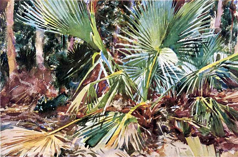 Palmettos, Florida. John Singer Sargent