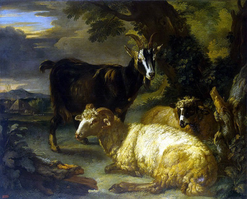Kassala, Giovanni Agostino - Sheep and goat. Hermitage ~ part 06