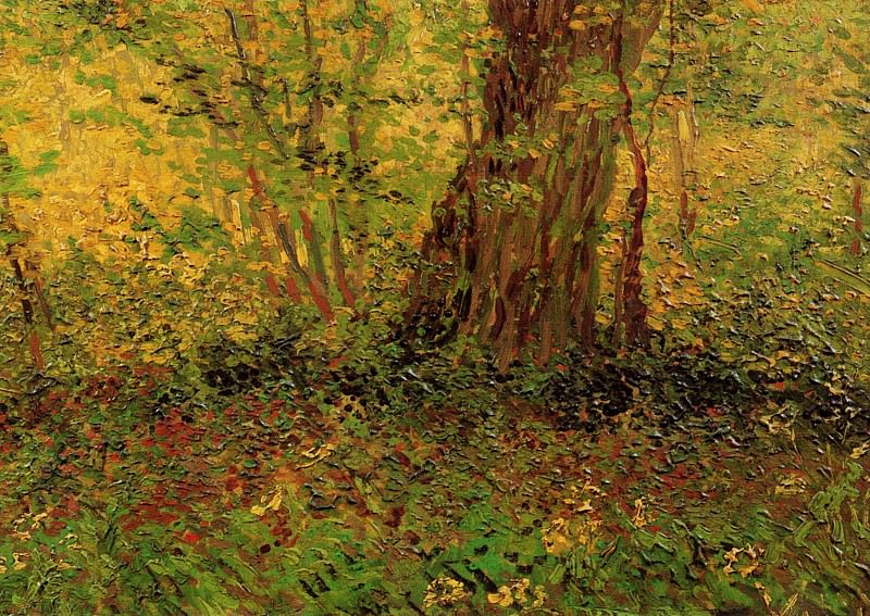 Undergrowth. Vincent van Gogh