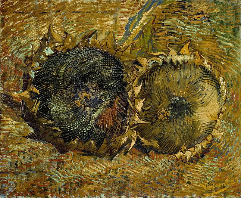 Two Cut Sunflowers. Vincent van Gogh