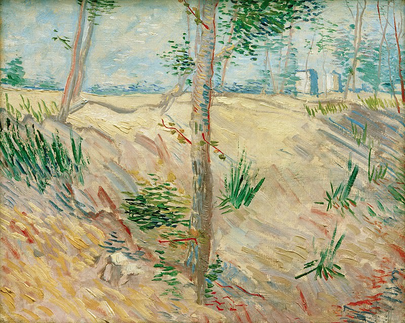 Trees in a Field on a Sunny Day. Vincent van Gogh