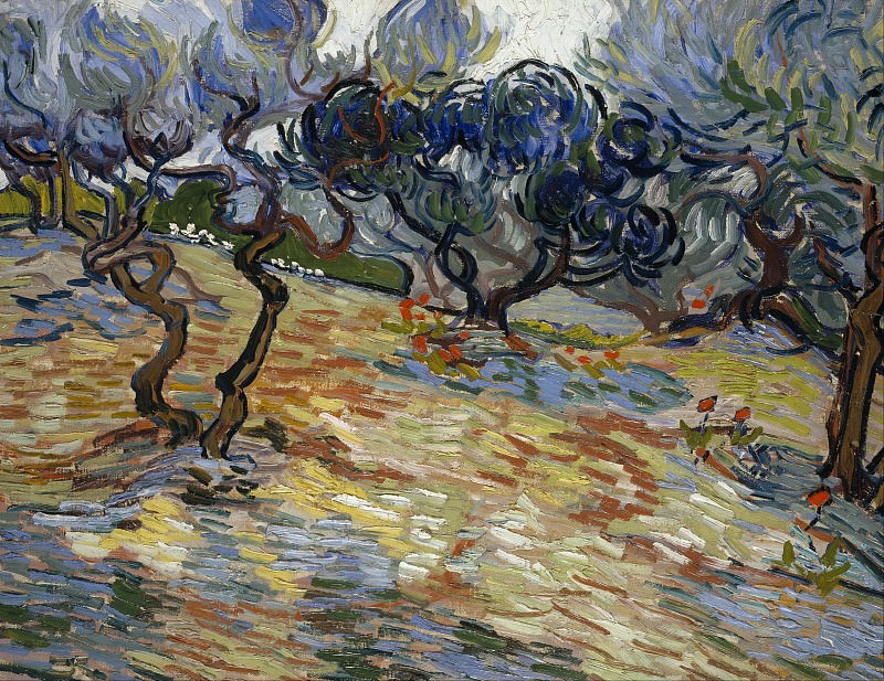 Оливковые деревья, Винсент Ван Гог
