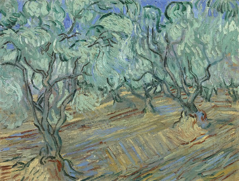 Оливковая роща, Винсент Ван Гог
