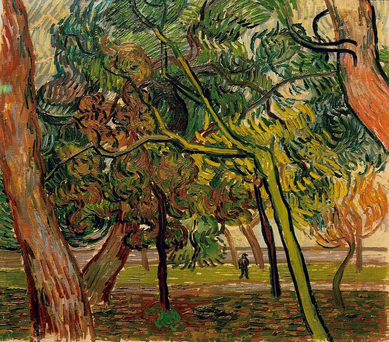 Study of Pine Trees. Vincent van Gogh