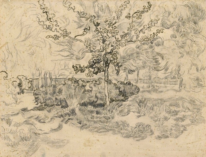 Деревья в саду лечебницы, Винсент Ван Гог