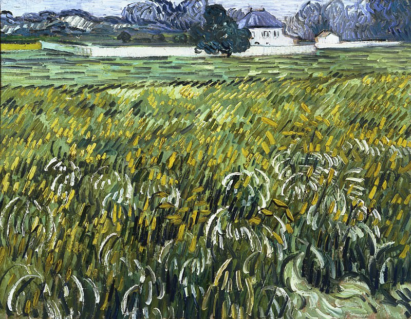 Пшеничное поле с белым домом в Овере. Винсент Ван Гог