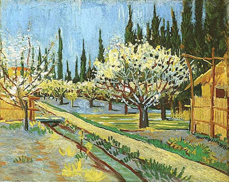 Orchard in Blossom, Bordered by Cypresses. Vincent van Gogh