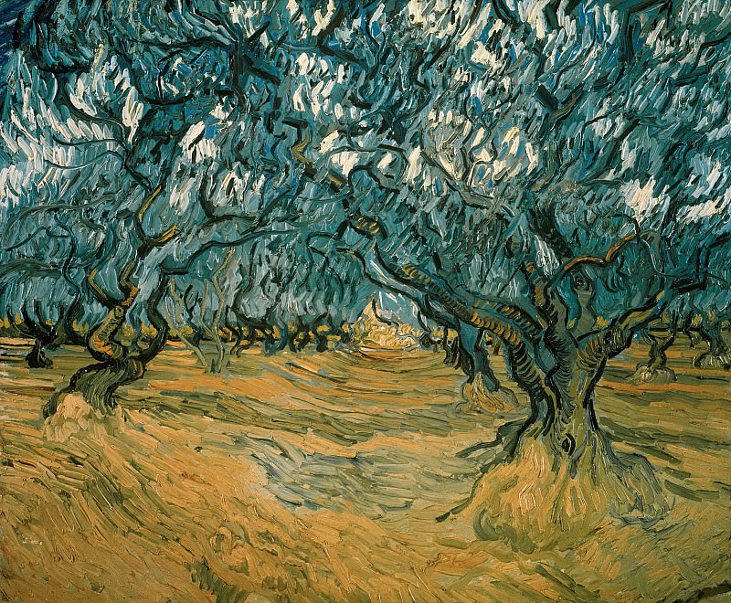 Olive Trees. Vincent van Gogh