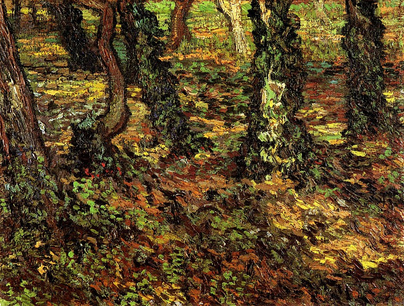 Стволы деревьев с плющом, Винсент Ван Гог
