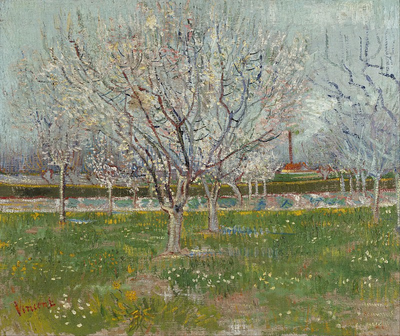 Фруктовый сад в цвету, Винсент Ван Гог