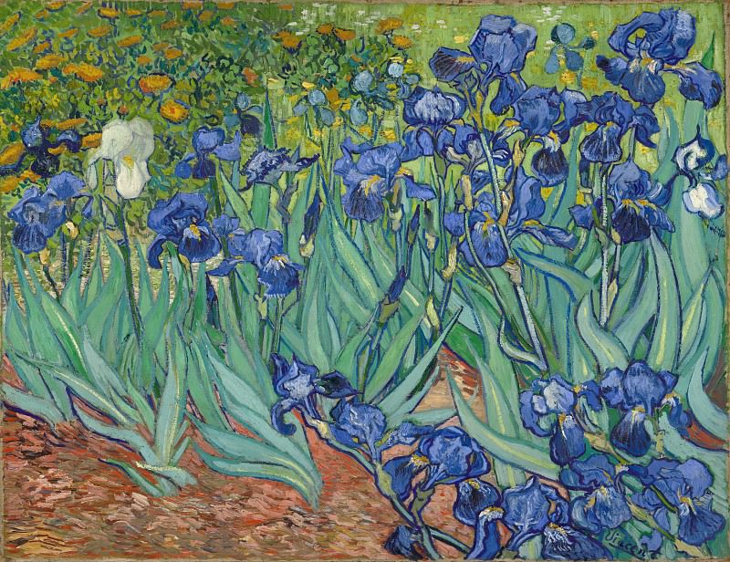 Irises. Vincent van Gogh