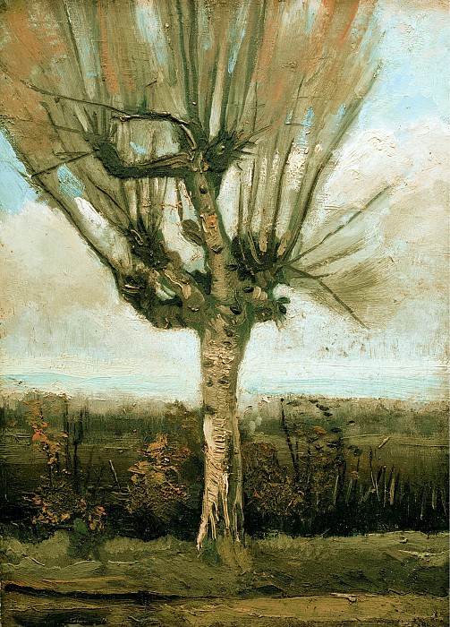 The Willow. Vincent van Gogh