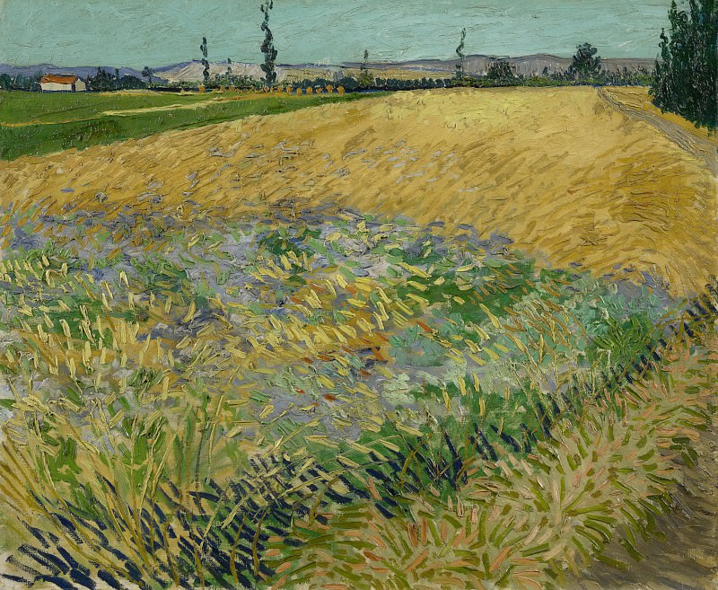 Пшеничное поле, Винсент Ван Гог