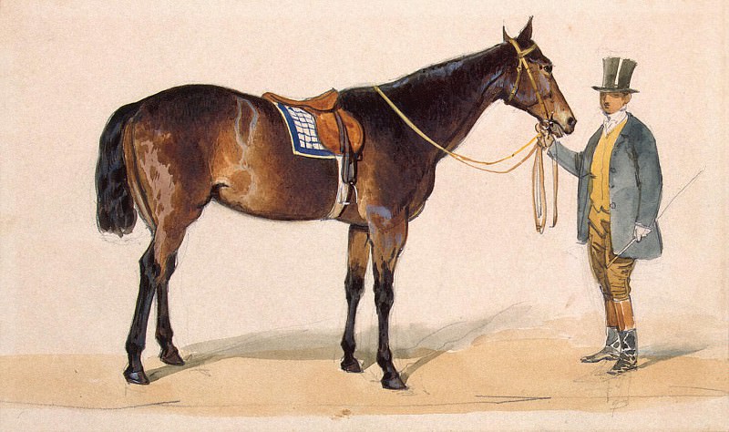 Premazzi Luigi - Horse under saddle and rider. Etude. Hermitage ~ part 10