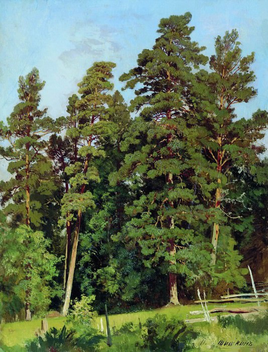 Сосновый лес 57х44, Иван Иванович Шишкин