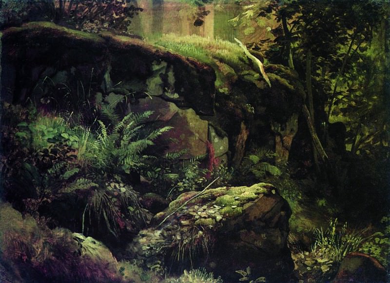 Камни в лесу. Валаам. Между 1858 и 1860 31х43, Иван Иванович Шишкин