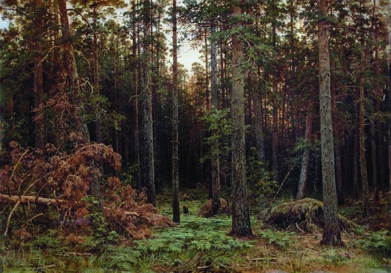 Сосновый лес 1885 113х161, Иван Иванович Шишкин