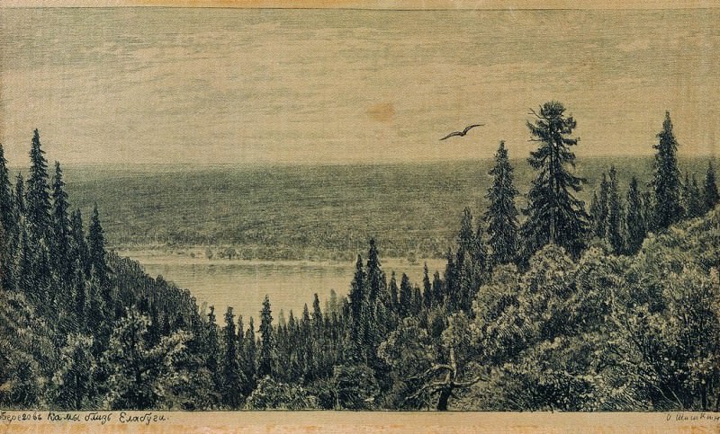 From the banks of Kama, near Yelabuga. 1885 16x24. Ivan Ivanovich Shishkin