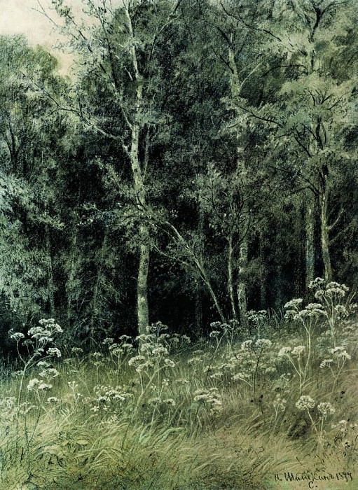 Цветы в лесу 1877 28, 4х21. Иван Иванович Шишкин