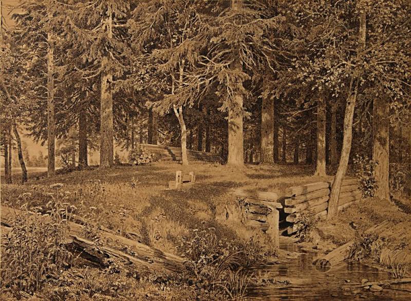 Edge of the Forest (spruce forest) 1890 44, 364, 7. Ivan Ivanovich Shishkin