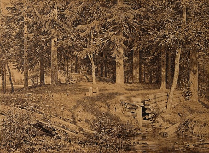Еловый лес (У ручья). 1890 50х67. Иван Иванович Шишкин