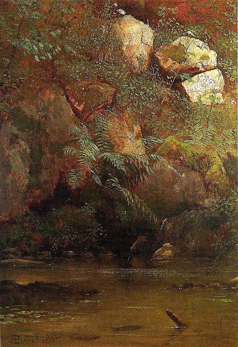 Bierstadt Albert Ferns and Rocks on an Embankment. Albert Bierstadt