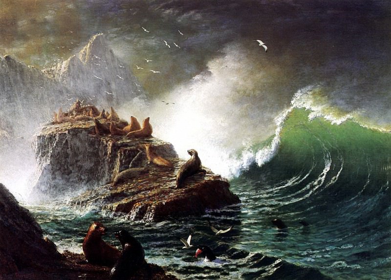 Bierstadt Albert Seals on the Rocks Farallon Islands. Albert Bierstadt