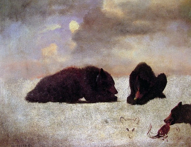 Grizzly Bears. Albert Bierstadt
