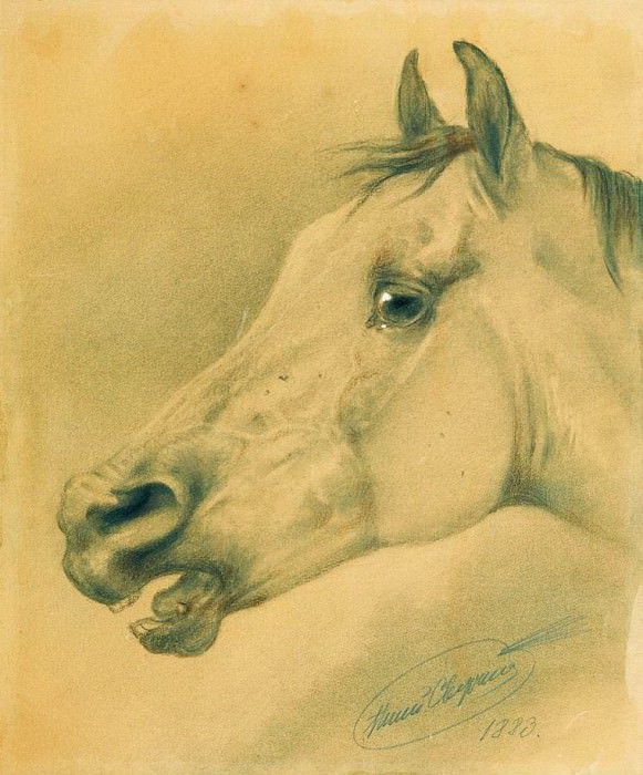 Horse head. Nikolay Sverchkov