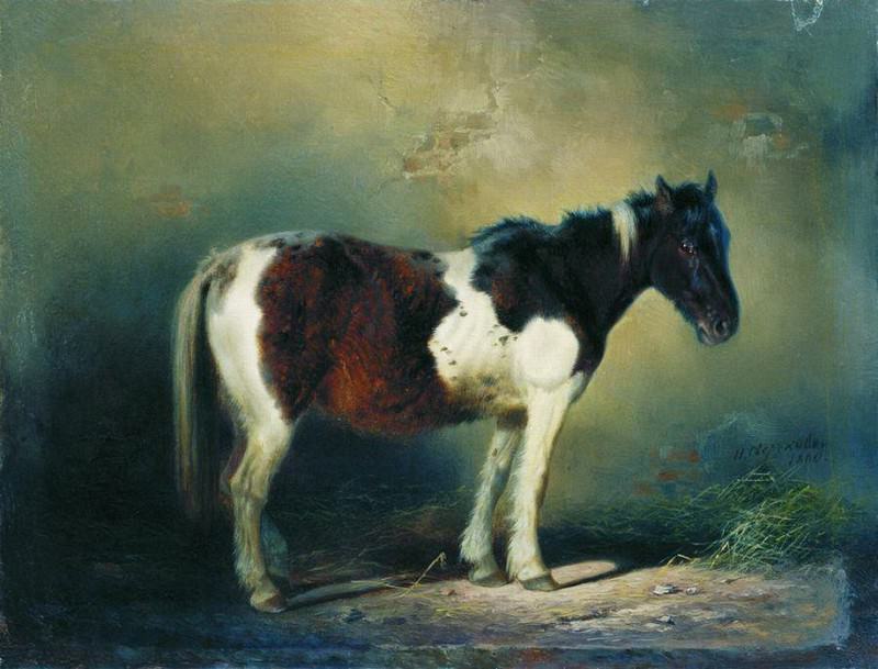 Пегая лошадь. 1860. Nikolay Sverchkov