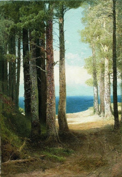 Pine trees near the sea. Arseny Meshersky