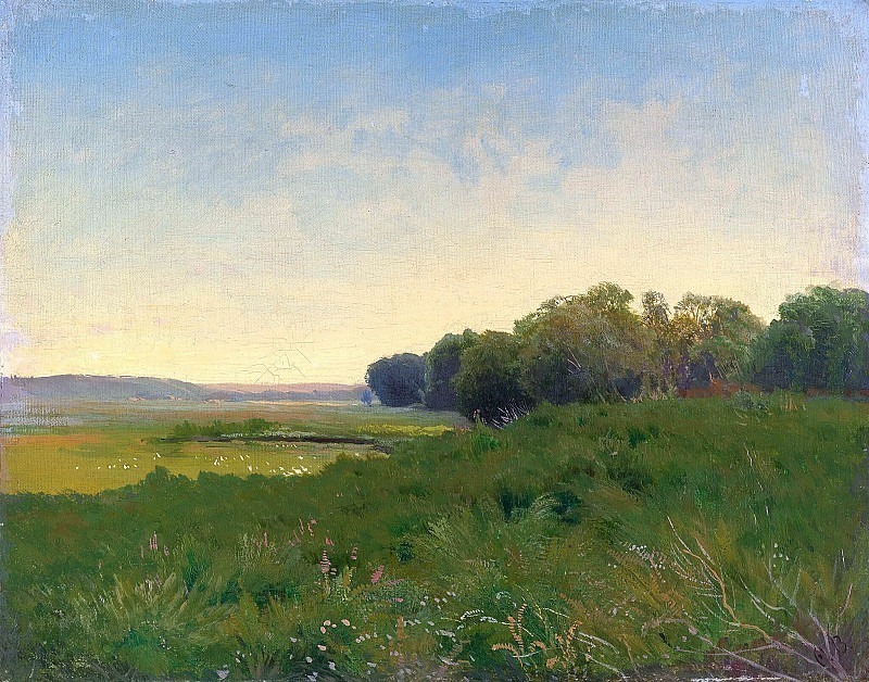Wet meadow. Fedor Vasiliev