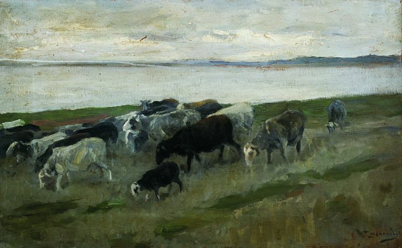 Стадо овец. 1900-е. Alexey Stepanov