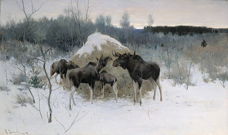 Moose. Alexey Stepanov