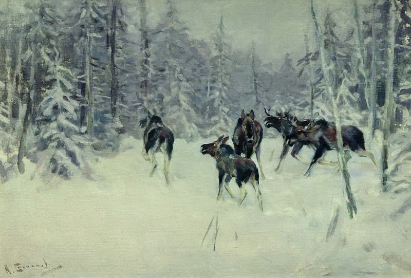 Moose. Alexey Stepanov
