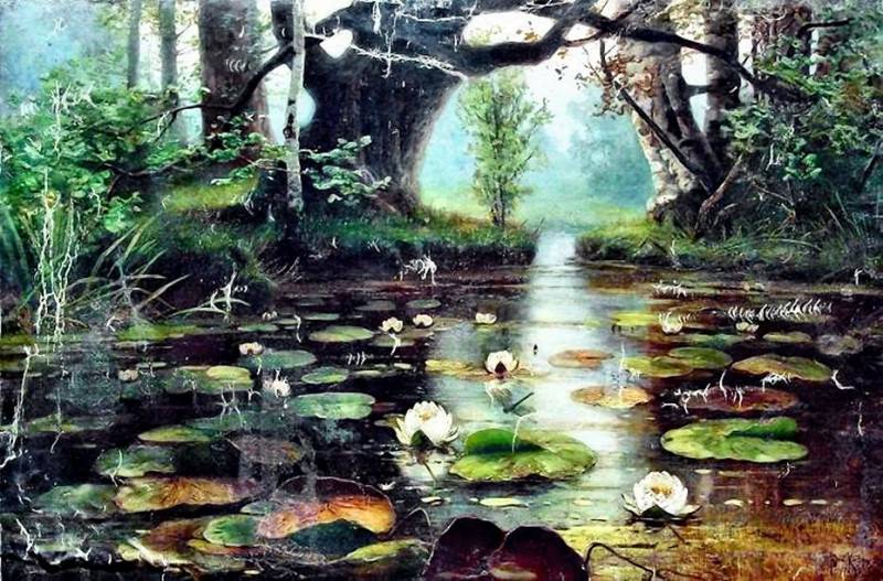 Pond with white lilies. Yuly Klever