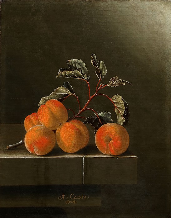 Adriaen Coorte - Still life with five apricots. Mauritshuis