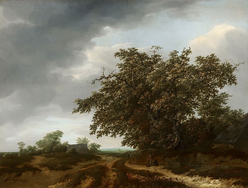 Вермеер ван Харлем, Ян - Пейзаж на окраине дюн. Маурицхёйс