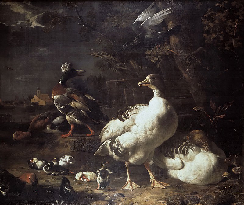Melchior d’ Hondecoeter - Geese and Ducks. Mauritshuis