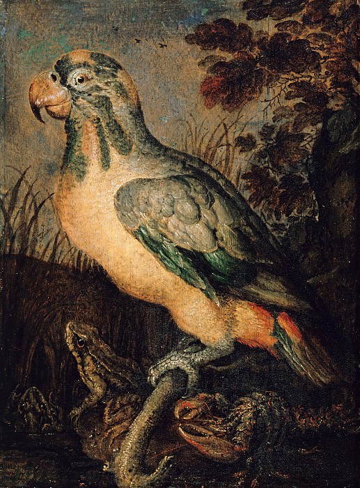 Roelant Savery (1576-1639) - Parrot, frog and cancer. Part 4