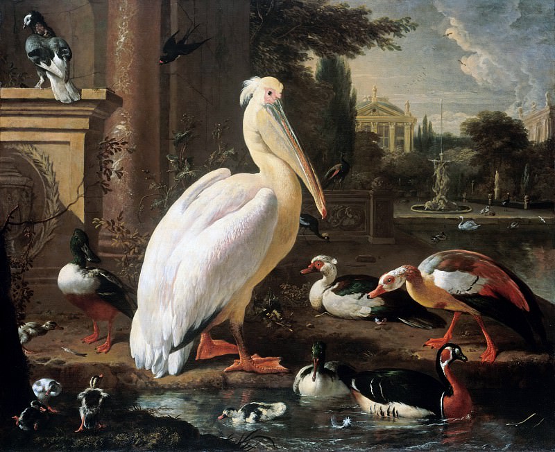 Melchior de Hondecoeter (1636-1695) - Pelican and other water birds in a park landscape. Part 4