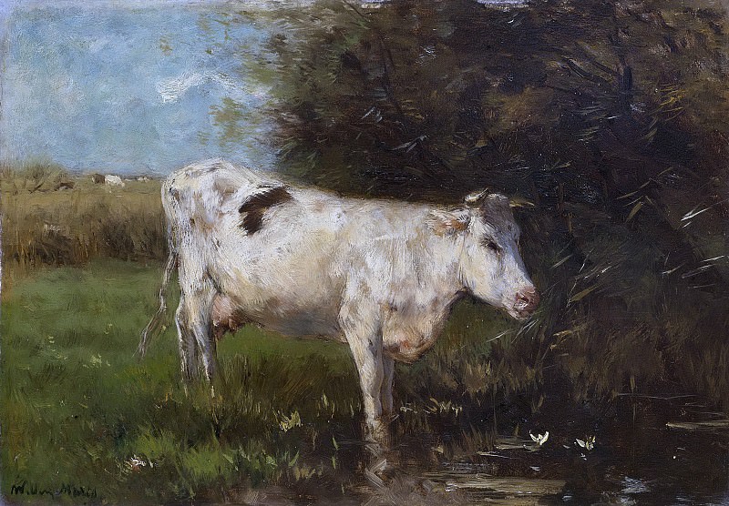 Виллем Марис -- Белая корова, 1880-1910. Рейксмузеум: часть 3