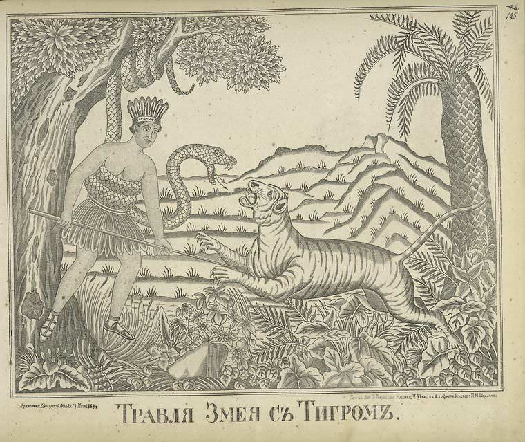 Travlia zmeia s tigrom. Русский народный лубок XIX века