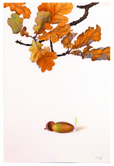 Sprouting acorn 11691 172. часть 5 -- European art Европейская живопись